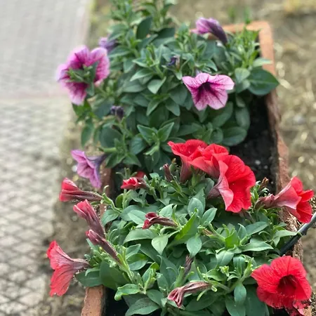 Nyaraló Private House Near Amarynthos, Evia, Greece